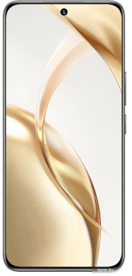 HONOR 200 8GB/256GB международная версия (вельветовый черный) 