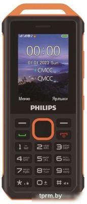 Кнопочный телефон Philips Xenium E2317 (желто-черный) 