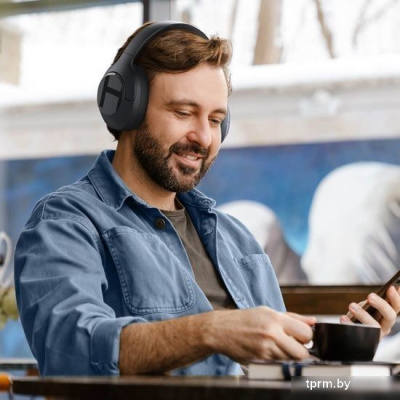 Наушники Haylou S35 ANC (черный) 