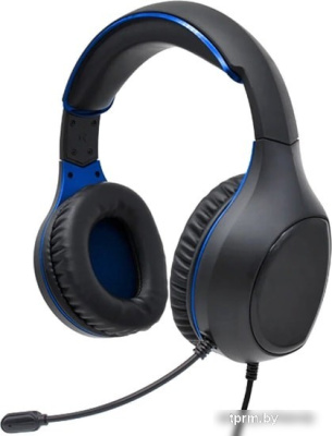 Наушники Perfeo Action (черный/синий) 