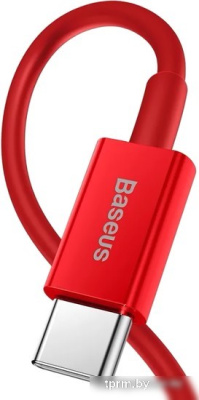 Кабель Baseus USB Type-C - Lightning CATLYS-A01 (1 м, черный) 