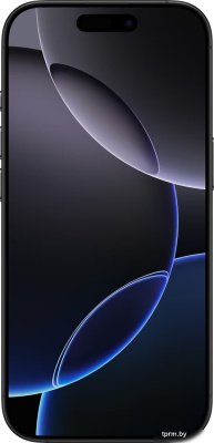 Смартфон Apple iPhone 16 Pro 256GB (черный титан) 