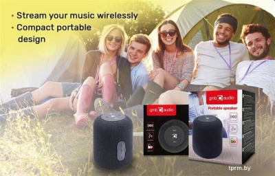 GMB Audio SPK-BT-15-BK 