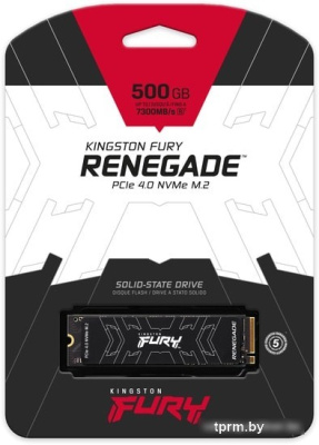 SSD Kingston Fury Renegade 500GB SFYRS/500G 