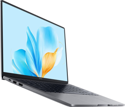 Ноутбук Honor MagicBook X14 Plus 2025 FRB-X Space Gray (5301ALWC) 