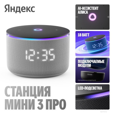 Умная колонка Яндекс Станция Мини 3 Про (серый) 