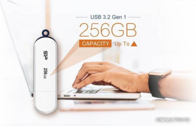 USB Flash Silicon-Power Blaze B32 64GB (белый) 