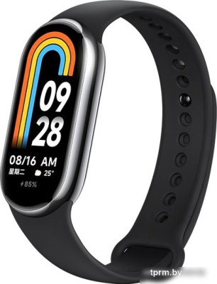 Фитнес-браслет Xiaomi Smart Band 8 (серый, с черным силиконовым ремешком, международная версия) 