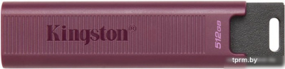 Kingston DataTraveler Max Type-A 512GB 