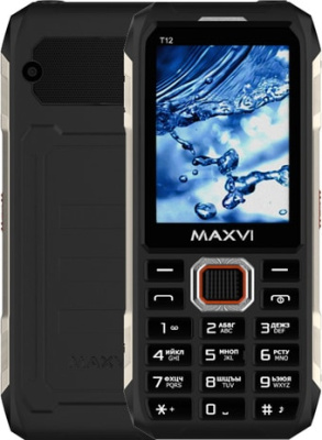 Кнопочный телефон Maxvi T12 (черный)