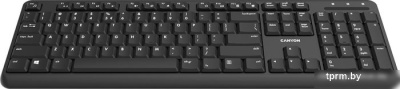 Клавиатура Canyon CNS-HKBW02-RU 
