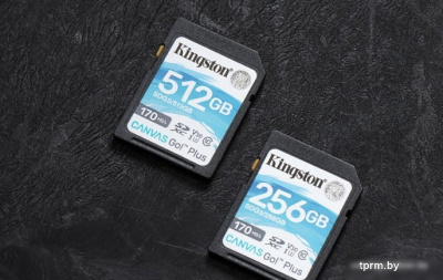 Kingston Canvas Go! Plus SDXC 256GB 