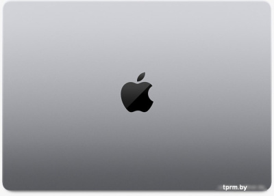 Ноутбук Apple Macbook Pro 14" M1 Pro 2021 MKGQ3 