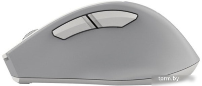 Мышь A4Tech Fstyler FG30S (серый/белый) 