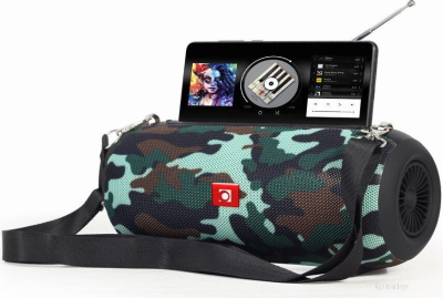 GMB Audio SPK-BT-17-CM 