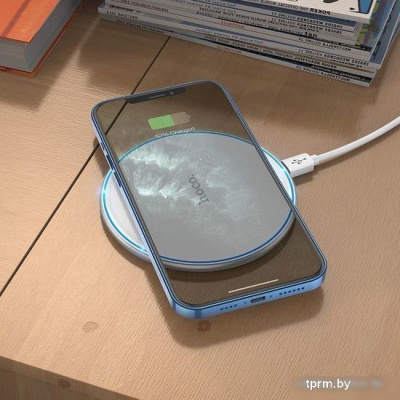 Hoco CW6 Pro Easy (белый) 