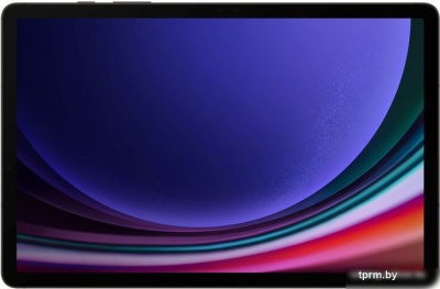 Планшет Samsung Galaxy Tab S9 5G SM-X716 12GB/256GB (графитовый) 