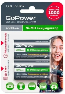 Аккумулятор GoPower 00-00018322 