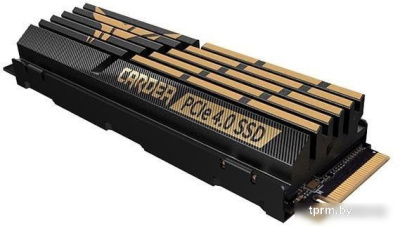 Team T-Force Cardea A440 1TB TM8FPZ001T0C327 