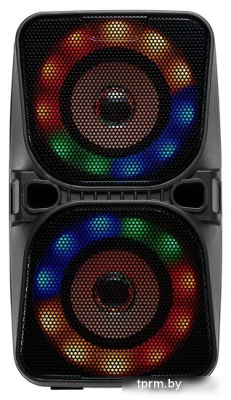 Беспроводная колонка Digma D-PS1505 