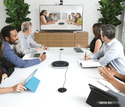 Микрофон Logitech Group Expansion Microphones [989-000171] 