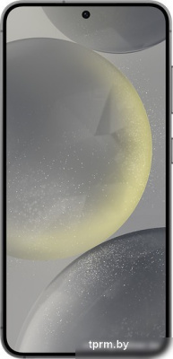 Смартфон Samsung Galaxy S24 8GB/256GB SM-S921B Exynos (черный) 