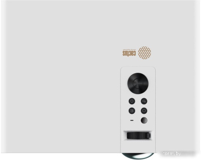 Проектор CACTUS CS-C4.SG 
