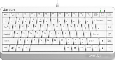 Клавиатура A4Tech Fstyler FKS11 (белый/серый) 