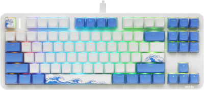 Red Square Alumix TKL Aquarius v2 (g3ms Sapphire) 