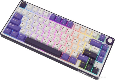 Клавиатура Royal Kludge R75 RGB (Blackberry, RK Silver) 