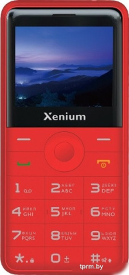 Телефон Xenium X700 (красный) 