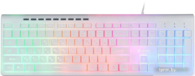 Клавиатура Oklick 490ML (белый) 