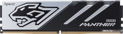 Оперативная память Apacer Panther 16ГБ DDR5 6200 МГц AH5U16G62C5327BAA-1 