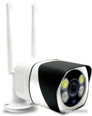 IP-камера Ginzzu HWB-4302A 