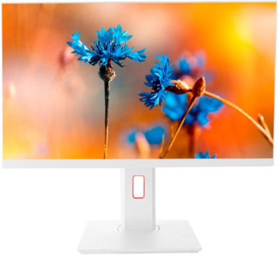 Моноблок ТЕСЛА P24WP 2416500 