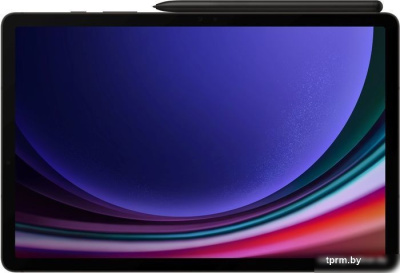 Планшет Samsung Galaxy Tab S9 5G SM-X716 12GB/256GB (графитовый) 