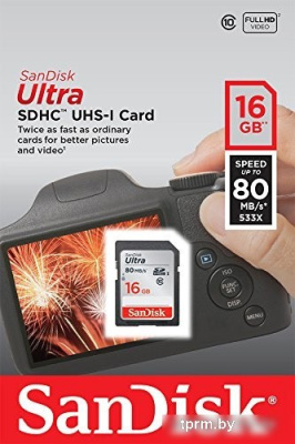 Карта памяти SanDisk SDHC (Class 10) 16GB [SDSDUNC-016G-GN6IN] 