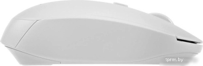 Мышь Acer OMR308 
