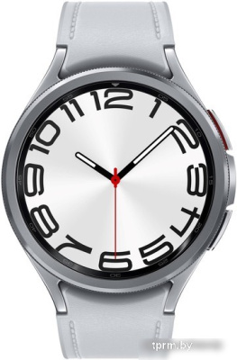 Умные часы Samsung Galaxy Watch6 Classic 47 мм (серебристый) 