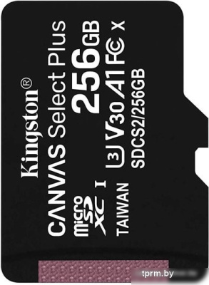 Карта памяти Kingston Canvas Select Plus microSDXC 256GB 