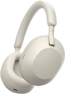 Наушники Sony WH-1000XM5 (серый) 