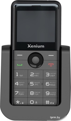 Кнопочный телефон Xenium X700 (черный) 