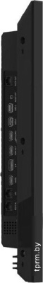 Hisense 55DM66D 
