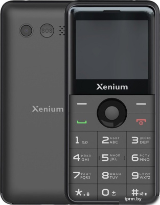 Кнопочный телефон Xenium X700 (черный) 