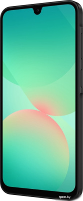 Телефон Samsung Galaxy A26 SM-A266B 6GB/128GB (черный) 