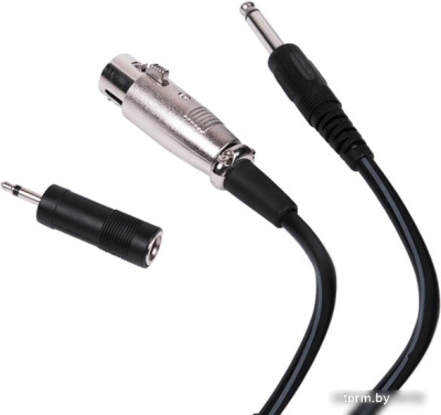 Микрофон Ritmix RDM-150 