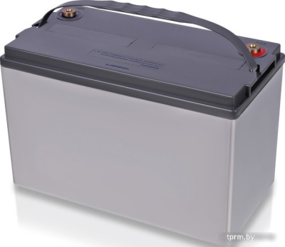 Аккумулятор для ИБП IPPON IP12-100 (12В/100 А·ч) 