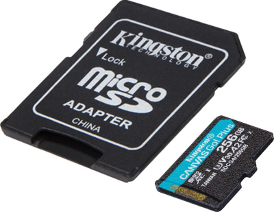 Карта памяти Kingston Canvas Go! microSDXC 256GB SDCG4/256GB (с адаптером) 