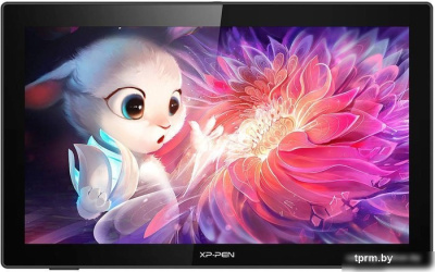 Графический монитор XP-Pen Artist 22 (2-е поколение) 
