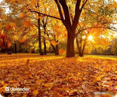 Коврик для мыши Defender Silk Pad Nature (50707) 